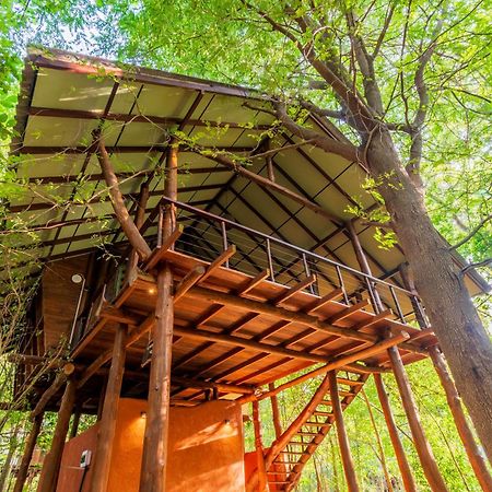 Kaala Kalaththewa Luxury Eco Resort Anuradhapura Exteriör bild