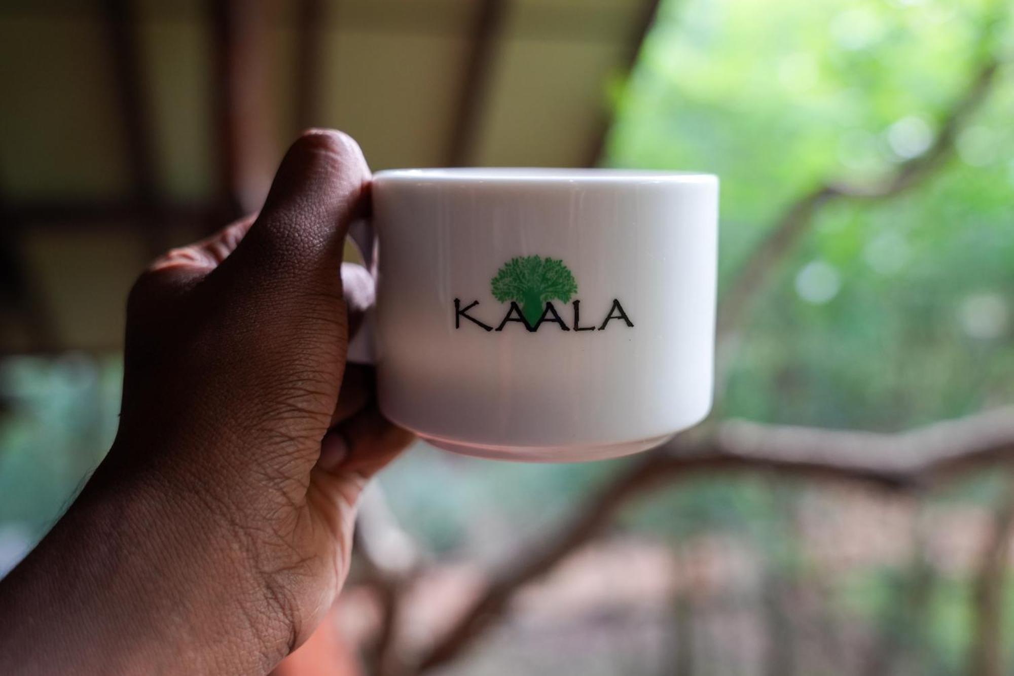 Kaala Kalaththewa Luxury Eco Resort Anuradhapura Exteriör bild