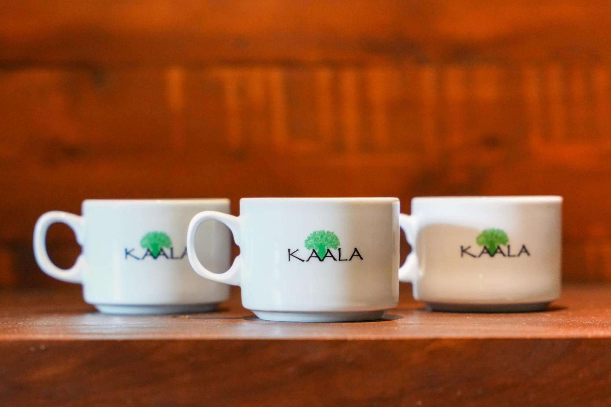 Kaala Kalaththewa Luxury Eco Resort Anuradhapura Exteriör bild