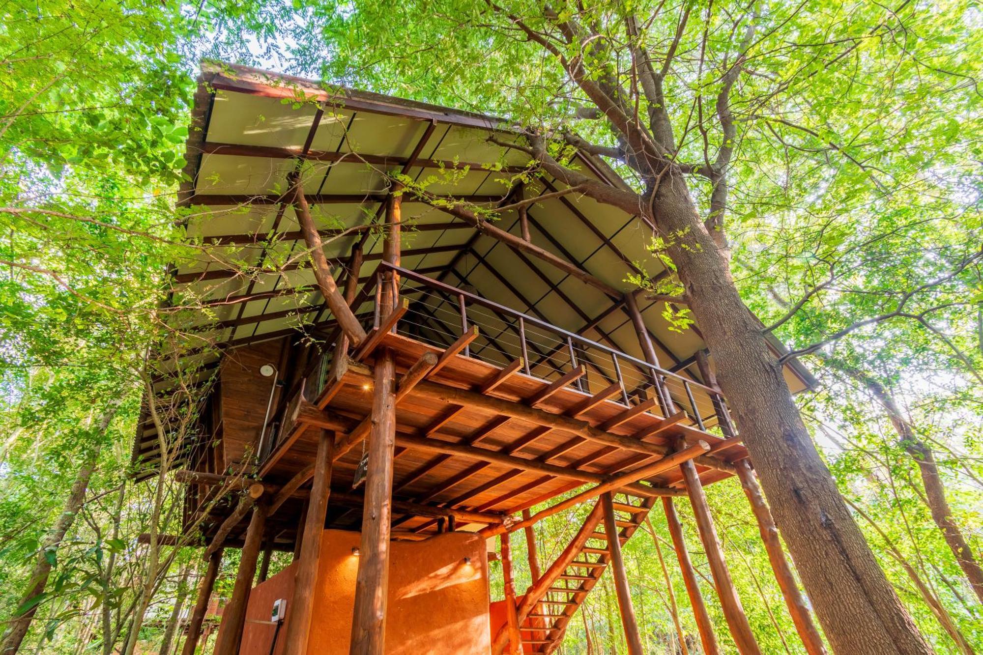 Kaala Kalaththewa Luxury Eco Resort Anuradhapura Exteriör bild