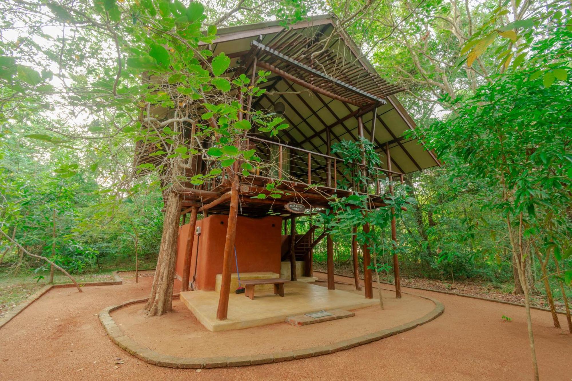 Kaala Kalaththewa Luxury Eco Resort Anuradhapura Exteriör bild