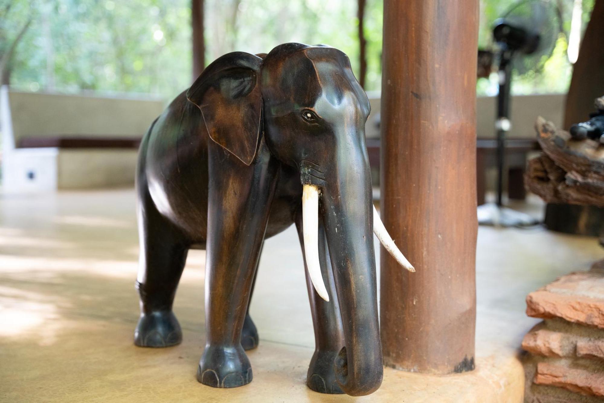 Kaala Kalaththewa Luxury Eco Resort Anuradhapura Exteriör bild