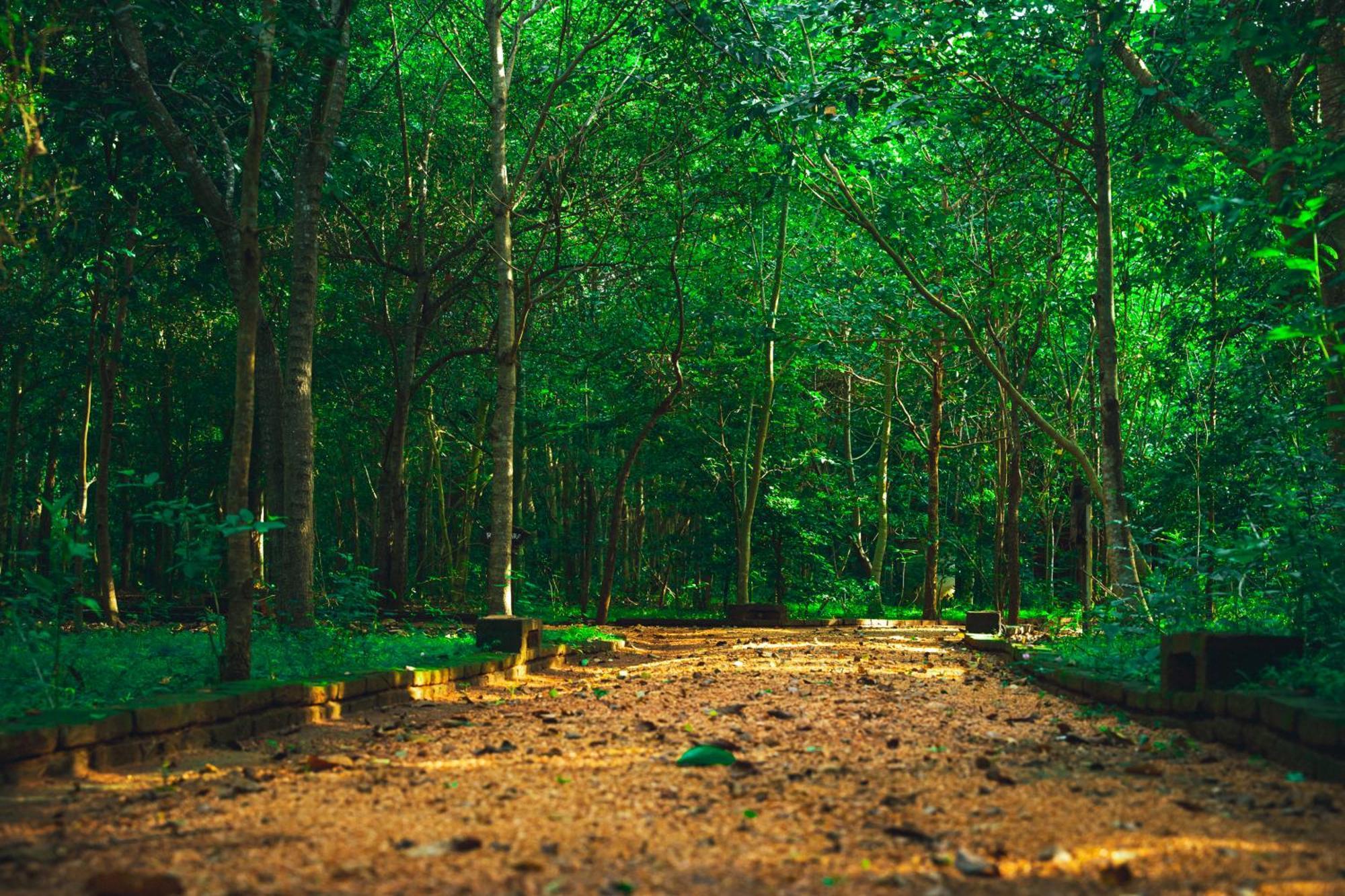 Kaala Kalaththewa Luxury Eco Resort Anuradhapura Exteriör bild